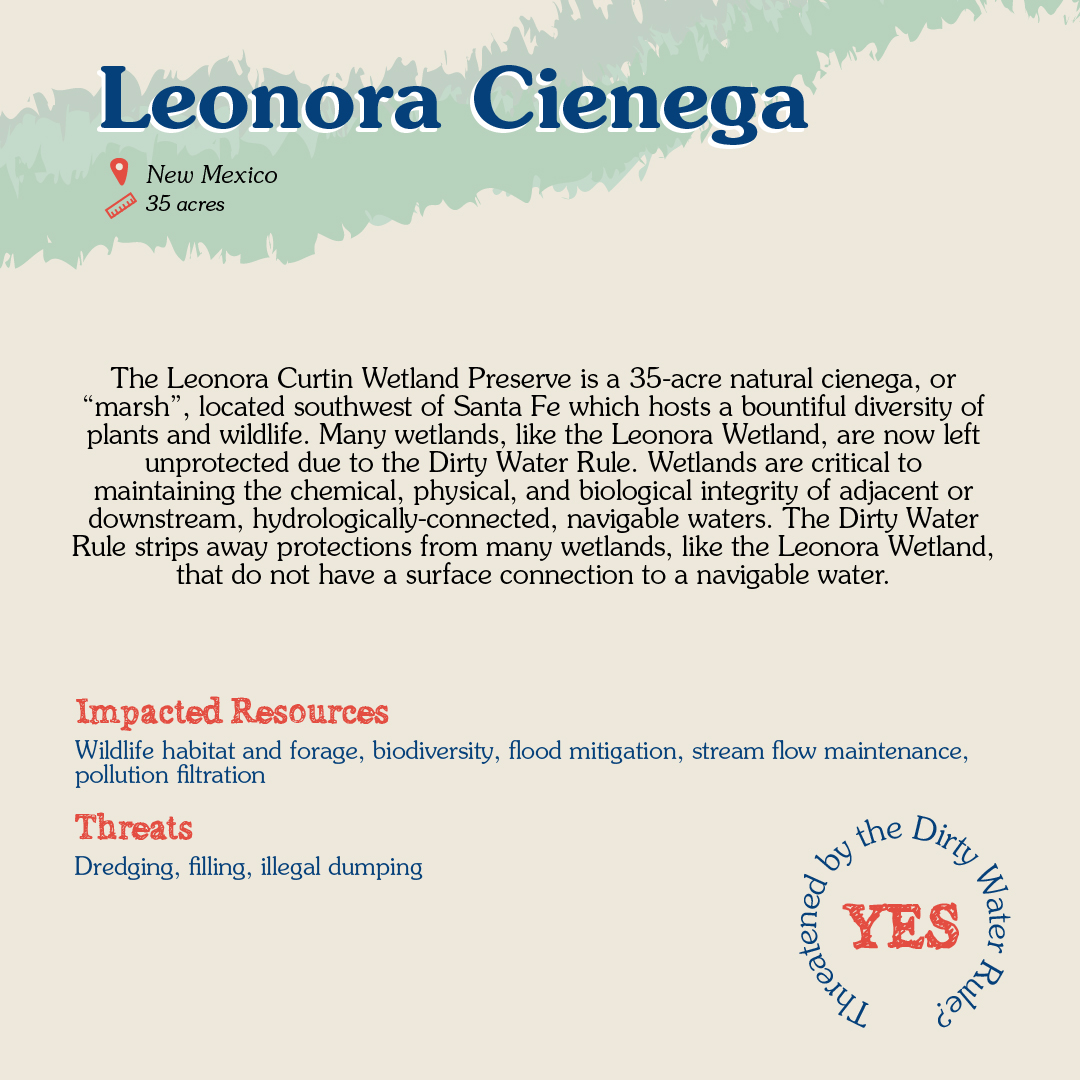 Leonora Cienega Card back