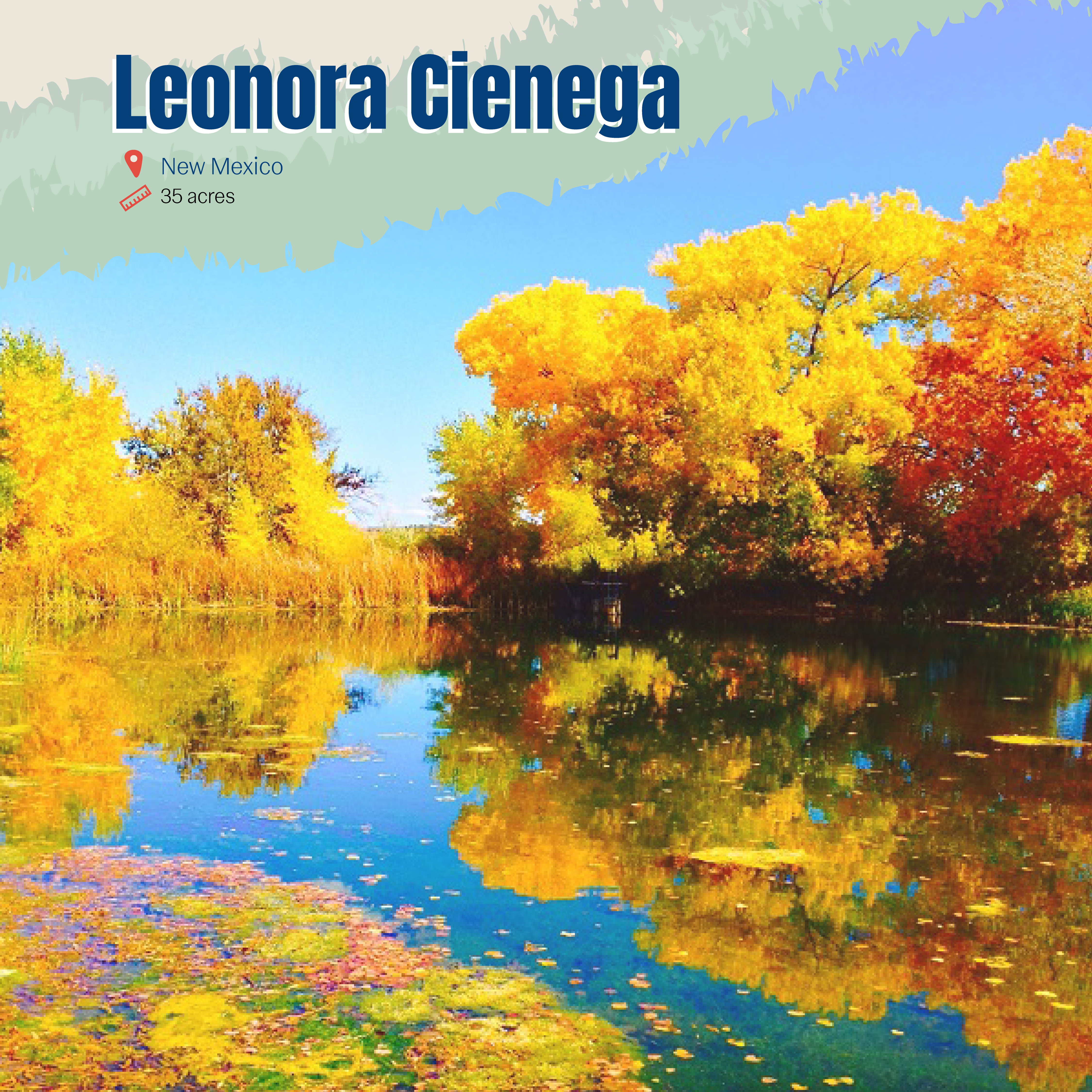 Leonora Cienega Card-01